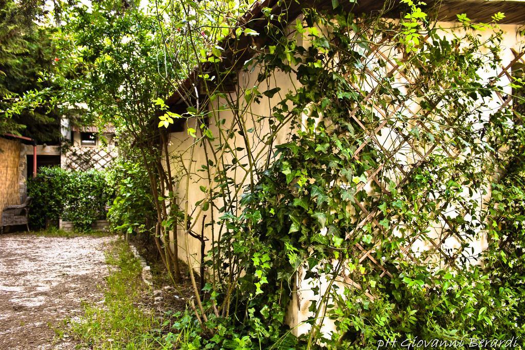 Bed and Breakfast Albarosa Ruvo di Puglia Exterior foto